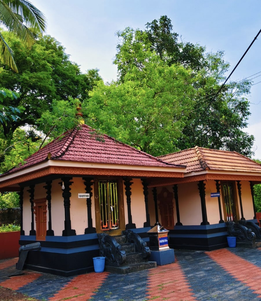Chandanakkavu Temple surroundings — the sacred grove of sandalwood and ancient trees at Kurumbathur, Malappuram