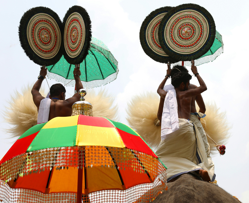 Caparisoned elephants with Alavattom (peacock-feather fans) at Thrissur Pooram, Kerala