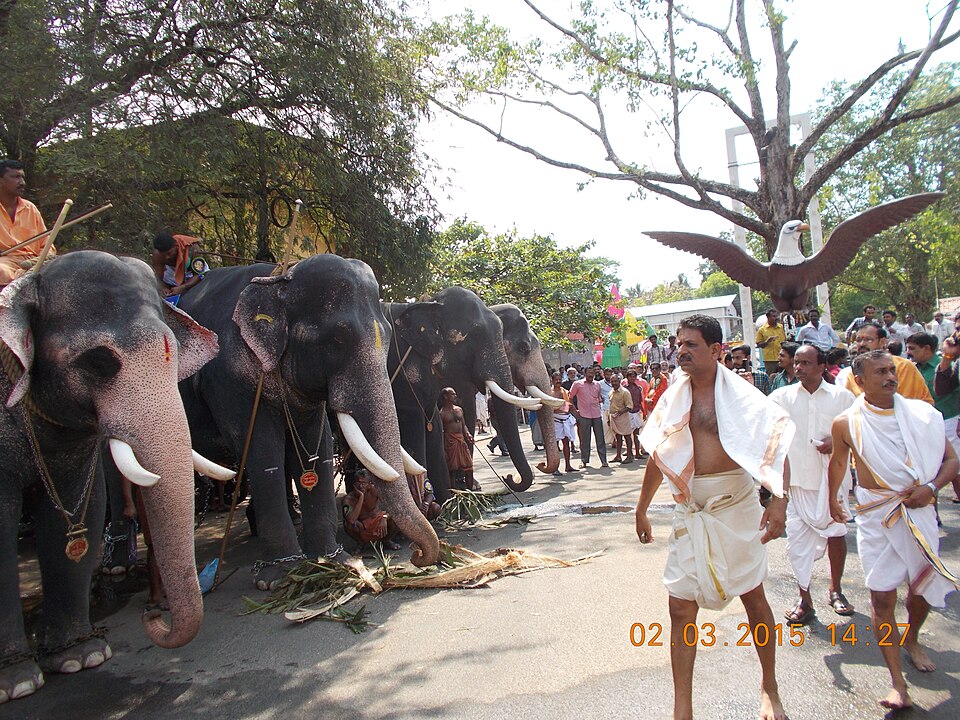 Guruvayur Anayottam — the elephant procession festival at Guruvayur Temple, Thrissur, Kerala