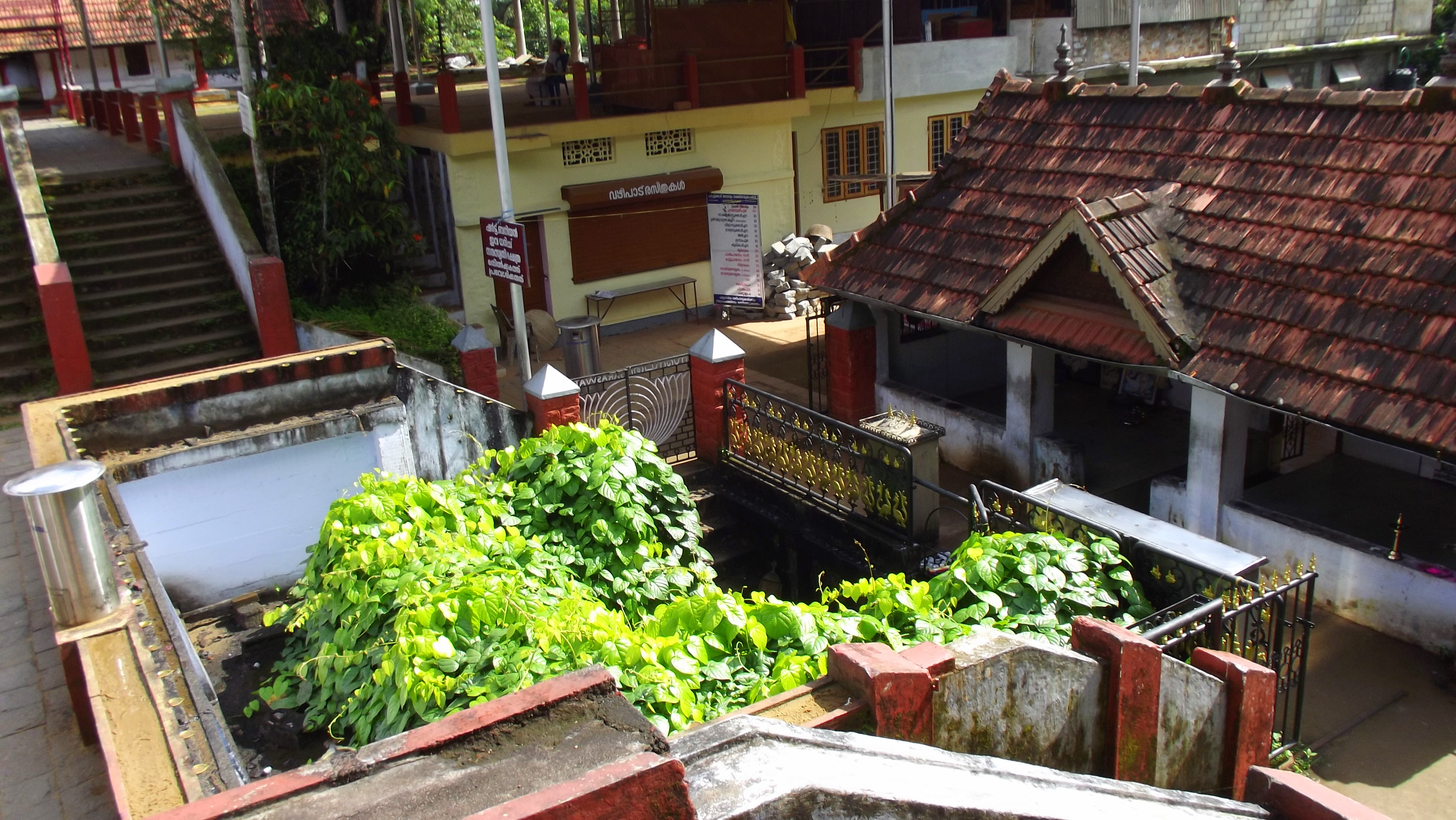 Panachikkadu Dakshina Mookambika Saraswathi Temple, Panachikkad, Kottayam, Kerala