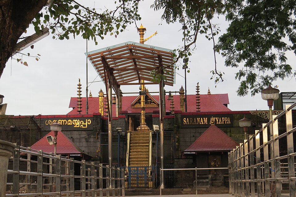 Sabarimala area during a Periyar butterfly survey, documenting biodiversity in the Western Ghats forest