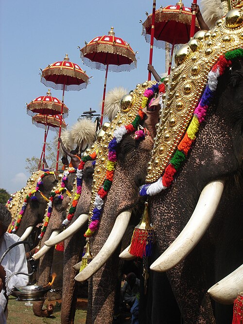 Thrissur Pooram elephant procession